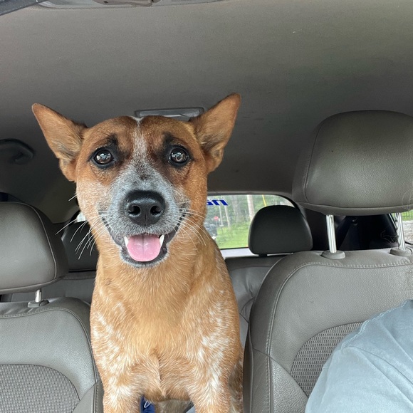 Quick list item - Picture 3 of 3